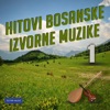 Hitovi Bosanske Izvorne Muzike 1