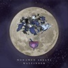 Mohamed Assani - Awakening