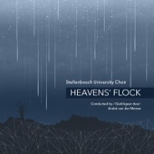 Heavens' Flock artwork