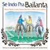 Se Indo Pra Bailanta, 2011