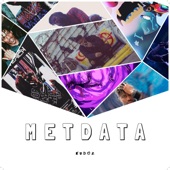 Metdata artwork
