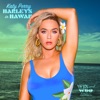 Harleys In Hawaii (Win and Woo Remix) - Single