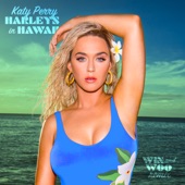Harleys In Hawaii (Win and Woo Remix) artwork