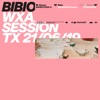 Bibio - Lovers Carvings