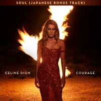 Céline Dion - Soul (Japanese Bonus Track) artwork