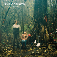 The Ocelots - Started to Wonder artwork