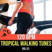 Tropical Walking Tunes Vol.1 artwork