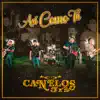 Así Como Tú (En Vivo) - Single album lyrics, reviews, download