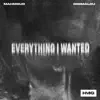 Stream & download Everything I Wanted - Single