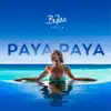 Paya Paya (Instrumental) - Single album lyrics, reviews, download