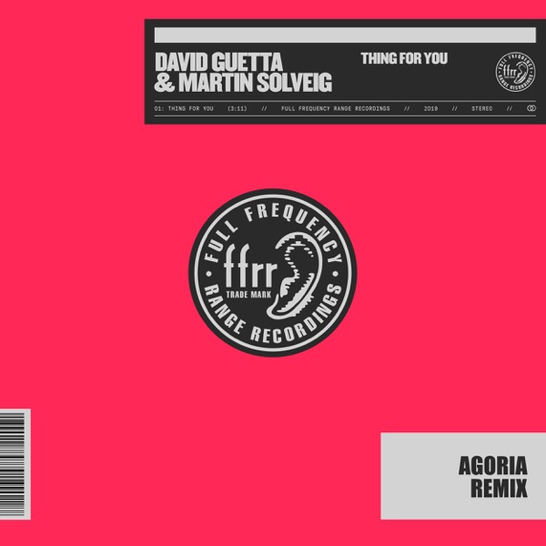 David Guetta & Martin Solveig - Thing For You (Agoria Remix)