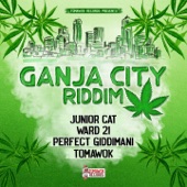 Junior Cat - Reggae Music