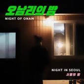 해운대의 밤 artwork