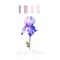 Iris artwork