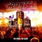 No Pain, No Gain (feat. Afroman & Mally Mall) - Cronica lyrics