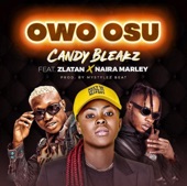 Owo Osu (feat. Zlatan & Naira Marley) - Single