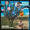 Várias Queixas (Dre Guazzelli Remix) - Single