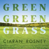 Green Green Grass artwork