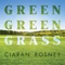 Green Green Grass artwork