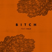 Bitch (feat. Vald) artwork
