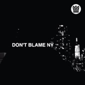 Don't Blame NY artwork