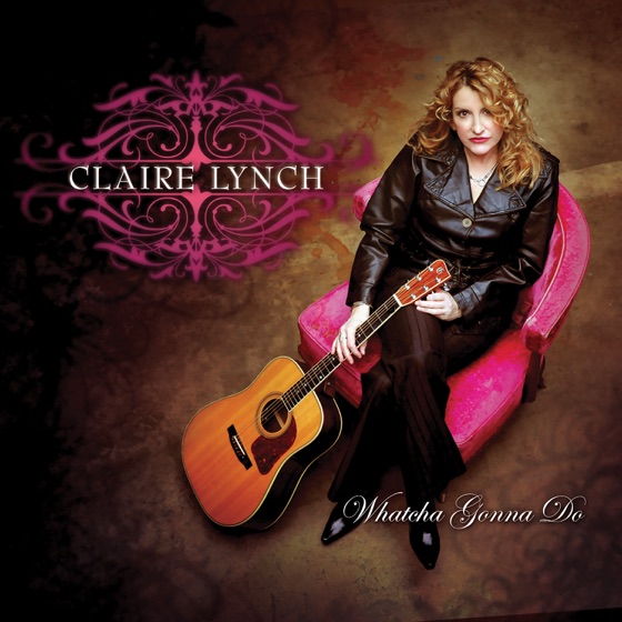 Cover artwork for The Mockingbird's Voice