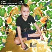 Jook - Flying Nimbus