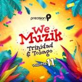 We Muzik (Soca 2020 Trinidad and Tobago Carnival), Vol. 11 artwork