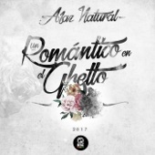 Asesina de Amor (feat. Nanpa Básico) artwork