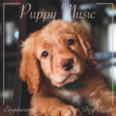 Puppy Music : Engineered to help your Dog Sleep artwork