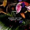 March of the Forest Cat - Single album lyrics, reviews, download