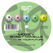 I Can Be Your Future (feat. Shady Novelle) artwork