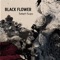 Ankor Wat - Black Flower lyrics
