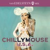 U.S.A. (Van Edelsteyn Mix) - EP, 2019