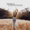 Bridge to Calmness album lyrics, reviews, download