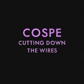 Cutting Down the Wires artwork
