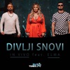 Divlji snovi (feat. Elma) - Single