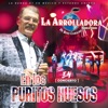 La Arrolladora Banda el Limón de Rene Camacho - En los Puritos Huesos (En Vivo)