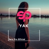 Yak (Remix) artwork
