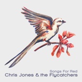 Chris Jones & the Flycatchers - Skin