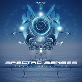 Gravity Loss (Spectro Senses Remix) artwork