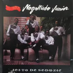 Jeito de Seduzir - Negritude Junior