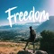 Freedom - Mr Eazi, GuiltyBeatz & J.Derobie lyrics