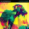 Capricorn (Remixes) - EP album lyrics, reviews, download