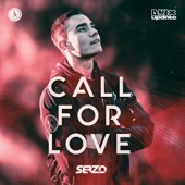 Call for Love (Extended Mix) artwork