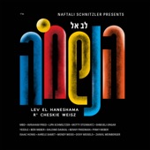 Shabbos Shalom (feat. Dovy Meisels) artwork