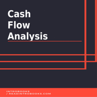 Introbooks Team - Cash Flow Analysis artwork