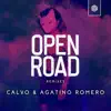 Stream & download Open Road - The Remixes - Single