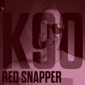 Red Snapper (Sq Warp Bass Remix) artwork
