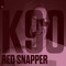 Red Snapper (Sq Warp Bass Remix) artwork